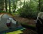 Camping in the woods