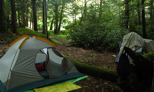 Camping in the woods