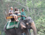 Riding on the back of an elephant