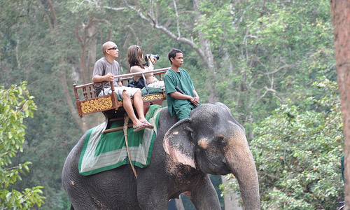 Riding on the back of an elephant
