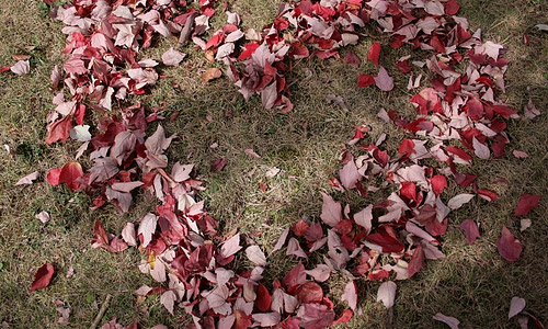 Falling hopelessly in love