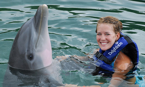 Swimming with dolphins