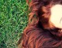 5 Great Ways To Protect Colored Hair