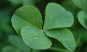 6 Good Luck Symbols To Drive Away Evil