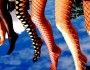 Find Out The Season When You Should Wear Tights?