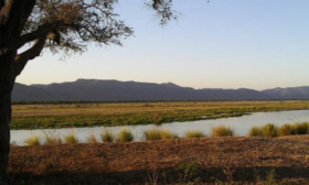 Planning A Vacation? Why Not An African Safari? Pick From These Top Destinations