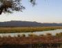 Planning A Vacation? Why Not An African Safari? Pick From These Top Destinations