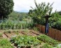 Follow These Great Tips To Keep Your Vegetable Garden Flourishing
