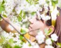 Why Is Spring The Favorite Season Of Most For Us?