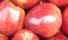 10 Foods That Eliminate Bad Breath