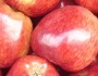 10 Foods That Eliminate Bad Breath