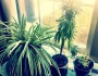 10 Simple Ways To Go Green