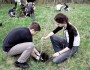 10 Ways To Help The Environment