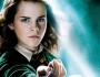 12 Hermione Granger Facts You Must Know