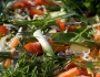 Should You Go Vegetarian To Lose Weight?