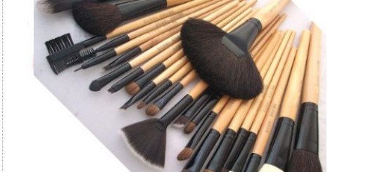 Boston World Professional Makeup Brush Set