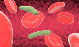 What are the Symptoms of Anemia?