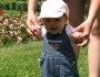 When Do Babies Start Walking?