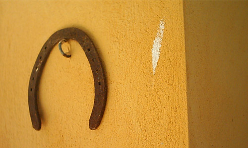 1. Horse Shoe