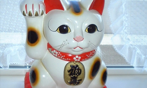 Money Cat
