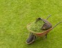 12 Garden Care Tips You Must Try Out