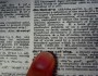 12 New Words Added To The 2011 Dictionary