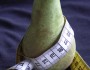 4 Reasons Why You Are Gaining Weight Day By Day