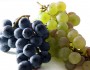 Top 10 Health Benefits Of Grapes