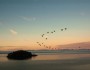 15 Quotes To Start The Day With