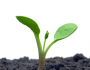 7 Easy Ways To Help The Environment