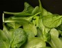 7 Essential Foods to Lower High Blood Pressure