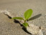 6 Great Tips To Go Green