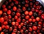 Top 4 Health Benefits of Cranberries