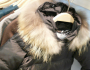 20 Things You Must Have This Winter