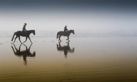 6 Interesting Things to Do in February