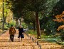 5 Advantages of Being Old