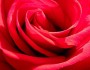 20 Valentine's Day Quotes to Spread Love