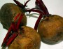 14 Benefits of Beetroot Juice