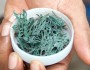 6 Health Benefits of Spirulina