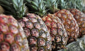 All You Wanted to Know About The Nutrition Facts of Pineapple