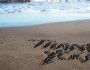 3 Ways to Be Thankful for What You Have