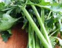 11 Health Benefits of Celery
