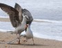 Do's and Don'ts of Fighting In a Relationship