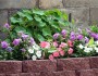 How to Maintain a Garden?