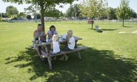 6 Fun Family Activities to Do This Spring