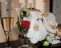 Give Your Love a Birthday to Remember