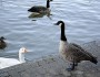 How to Get Rid of Superiority Complex?