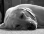 3 Signs that You Are a Lazy Person