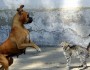 Top 5 Tips On Resolving Conflict In The Workplace