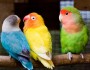 5 Ways to Overcome Jealousy